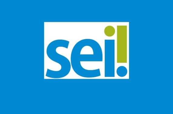 SEI 4.0